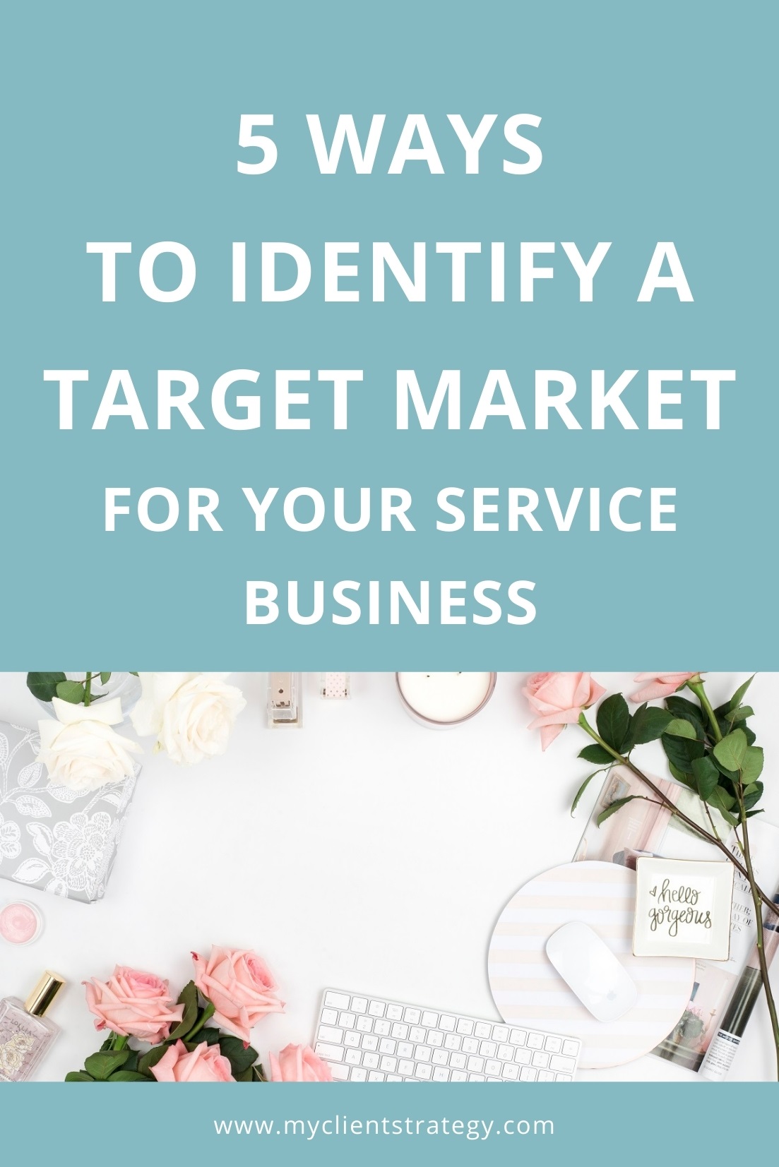 identify target market